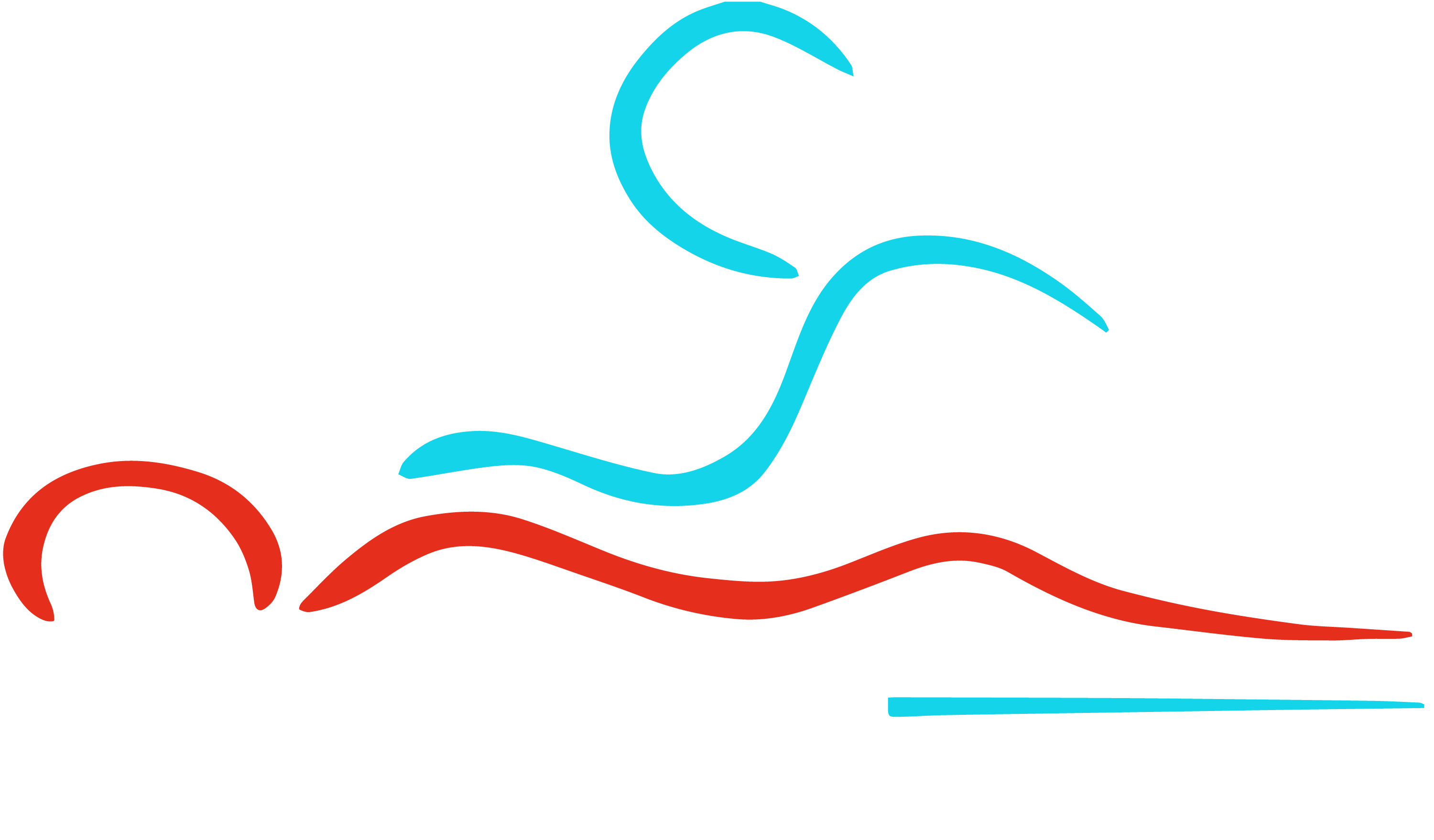 Callum Wood Sports & Structural Therapy - Logo